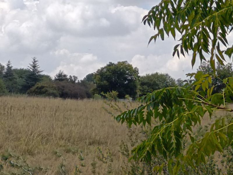 Prime 2+ Hectare Vacant Stand – Peaceful Living Close to Town! - Photo 9