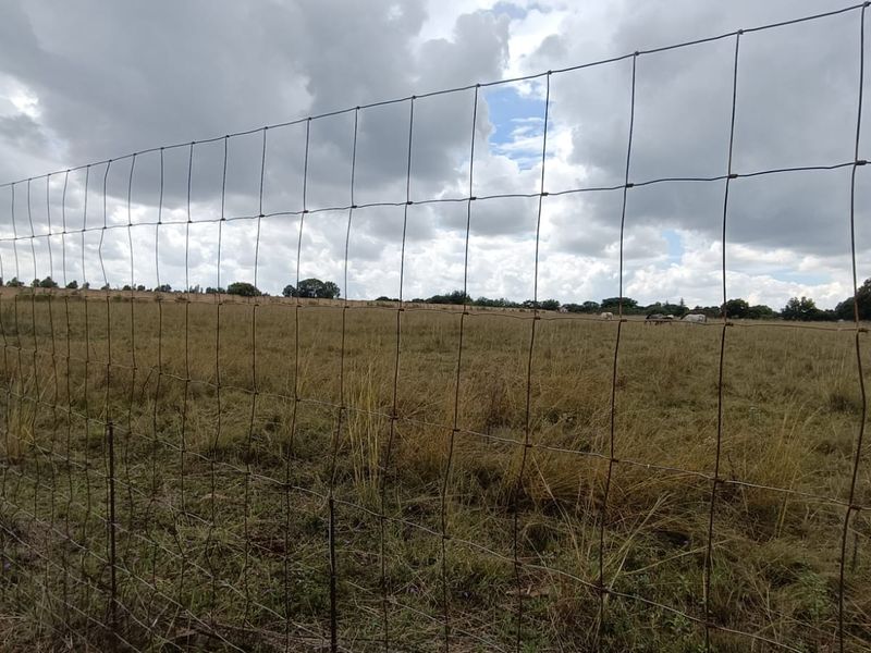 Prime 2+ Hectare Vacant Stand – Peaceful Living Close to Town! - Photo 8