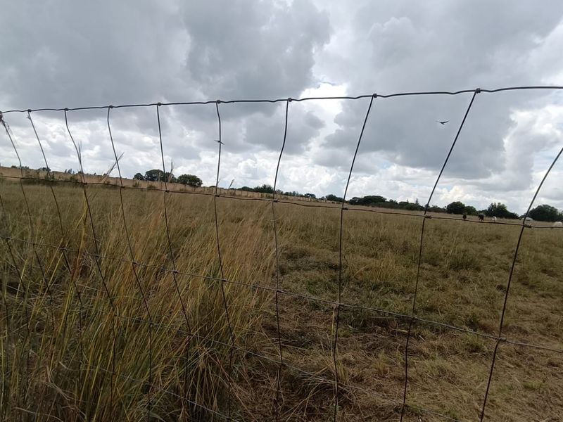 Prime 2+ Hectare Vacant Stand – Peaceful Living Close to Town! - Photo 7