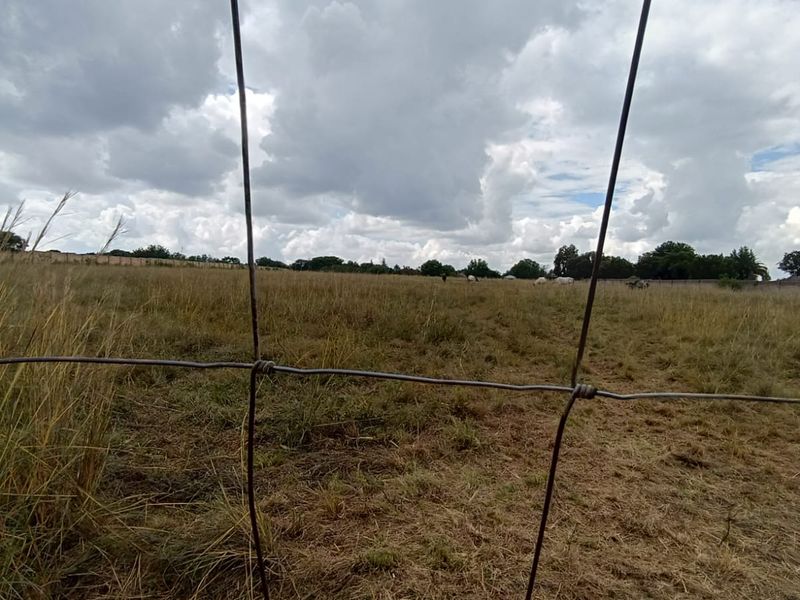 Prime 2+ Hectare Vacant Stand – Peaceful Living Close to Town! - Photo 6