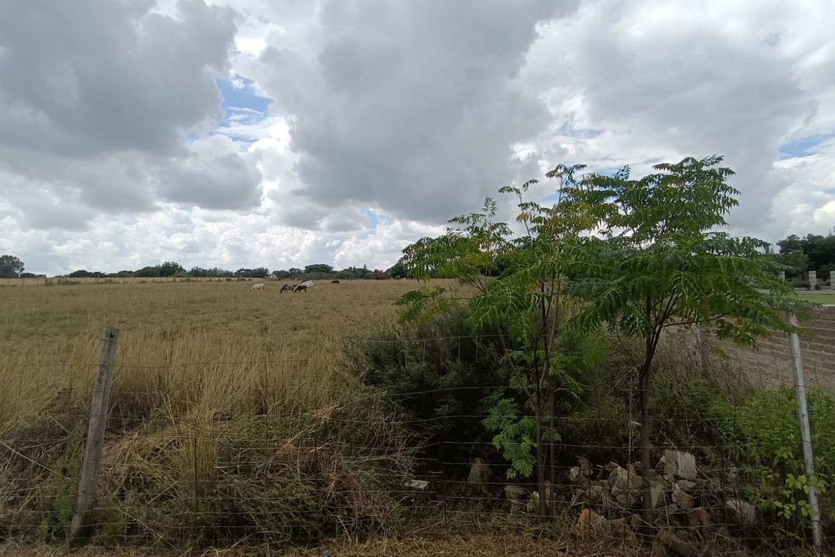 Prime 2+ Hectare Vacant Stand – Peaceful Living Close to Town! - Photo 5