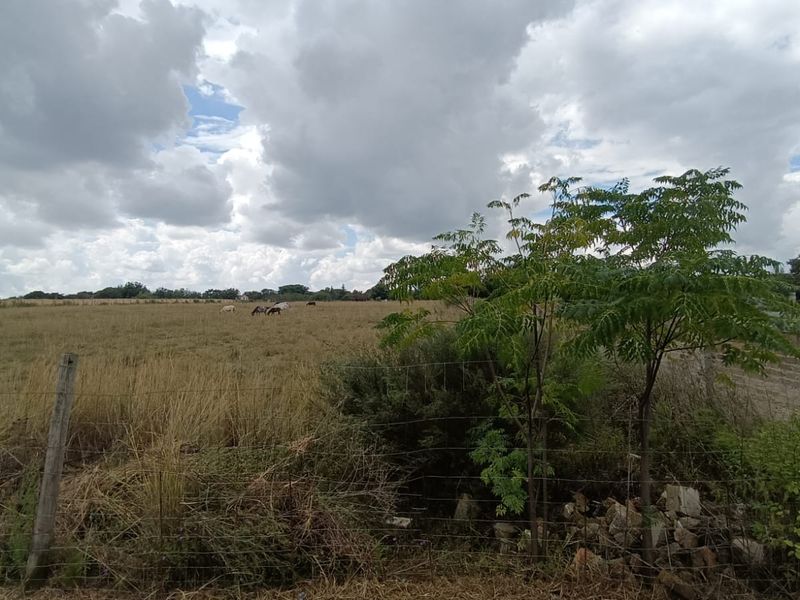 Prime 2+ Hectare Vacant Stand – Peaceful Living Close to Town! - Photo 5