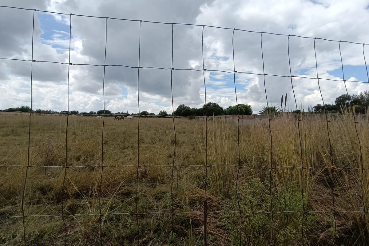 Prime 2+ Hectare Vacant Stand – Peaceful Living Close to Town! - Photo 4