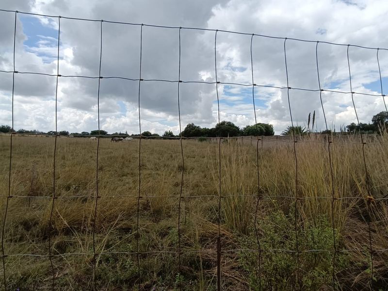 Prime 2+ Hectare Vacant Stand – Peaceful Living Close to Town! - Photo 4