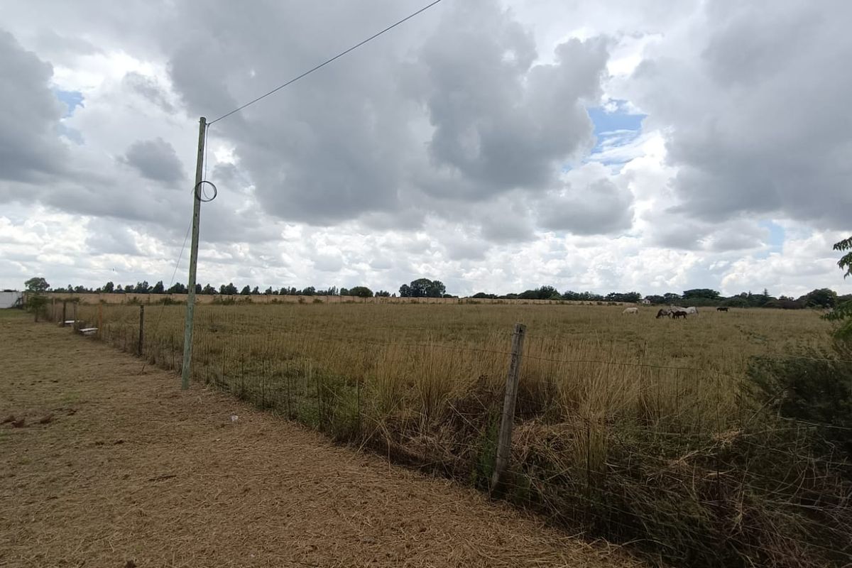 Prime 2+ Hectare Vacant Stand – Peaceful Living Close to Town! - Photo 3