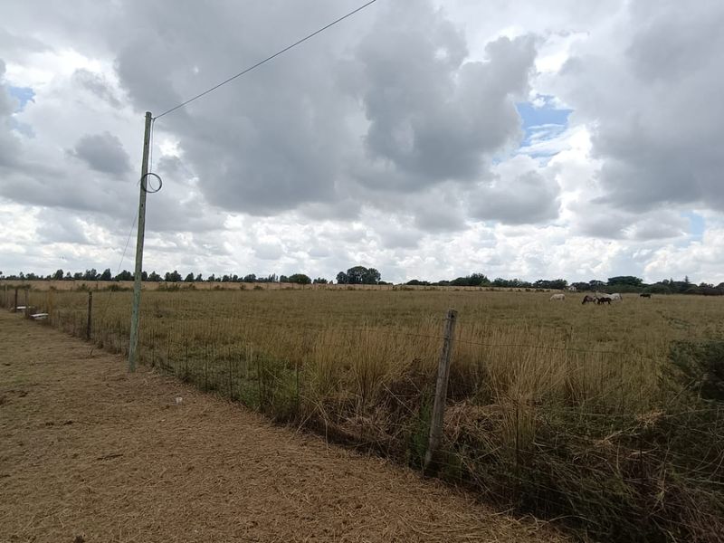 Prime 2+ Hectare Vacant Stand – Peaceful Living Close to Town! - Photo 3