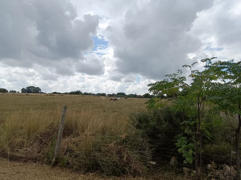 Prime 2+ Hectare Vacant Stand – Peaceful Living Close to Town! - Photo 10