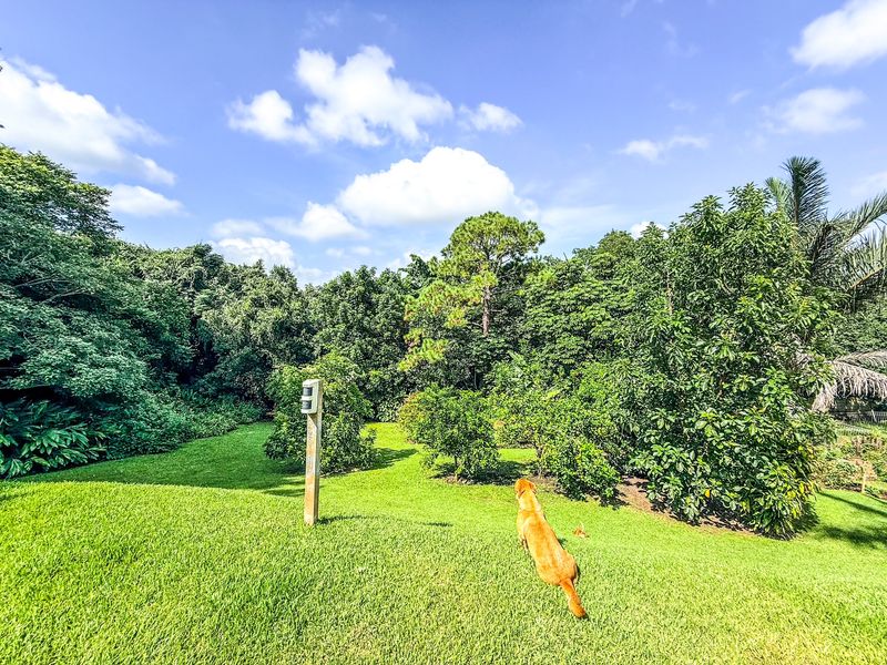 House For Sale In Empangeni - Photo 10