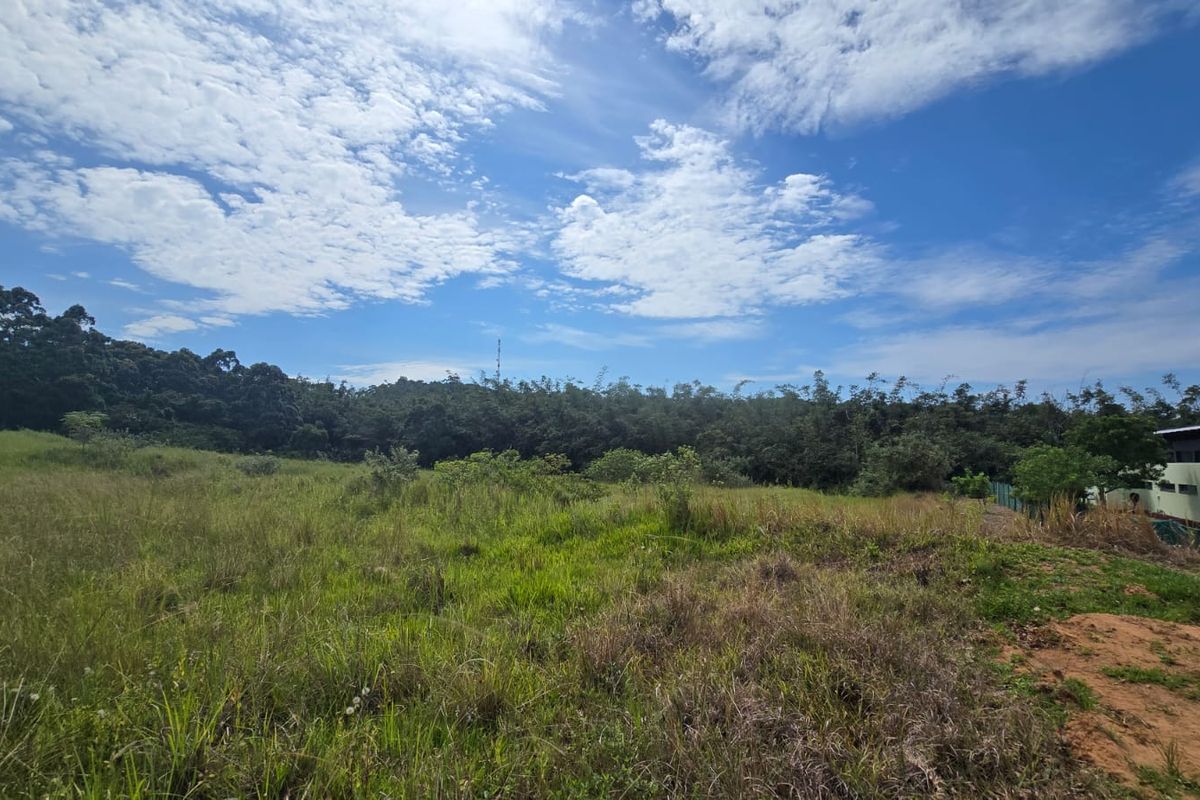 VACANT STAND – SITE 2 | 561 SQM | TYPE C | NO TRANSFER DUTIES - Photo 5