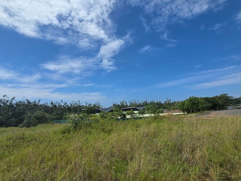 VACANT STAND – SITE 2 | 561 SQM | TYPE C | NO TRANSFER DUTIES - Photo 7