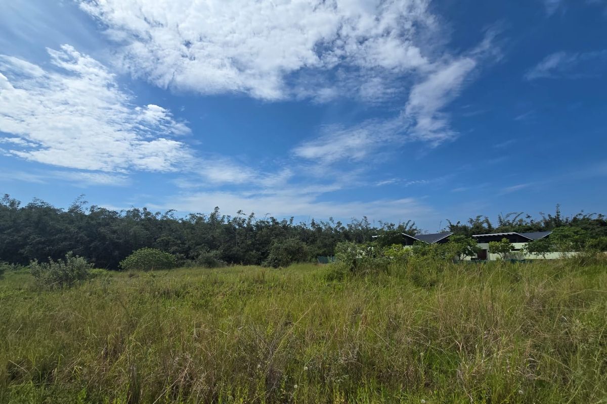 VACANT STAND – PLOT 3 | 1 450 SQM | OPTION C | NO TRANSFER DUTIES - Photo 5