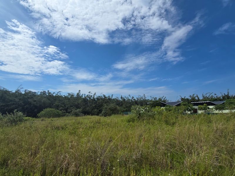 VACANT STAND – PLOT 3 | 1 450 SQM | OPTION C | NO TRANSFER DUTIES - Photo 5