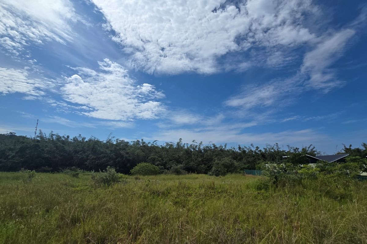 VACANT STAND – PLOT 3 | 1 450 SQM | OPTION C | NO TRANSFER DUTIES - Photo 2