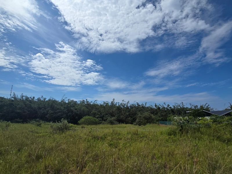 VACANT STAND – PLOT 3 | 1 450 SQM | OPTION C | NO TRANSFER DUTIES - Photo 2