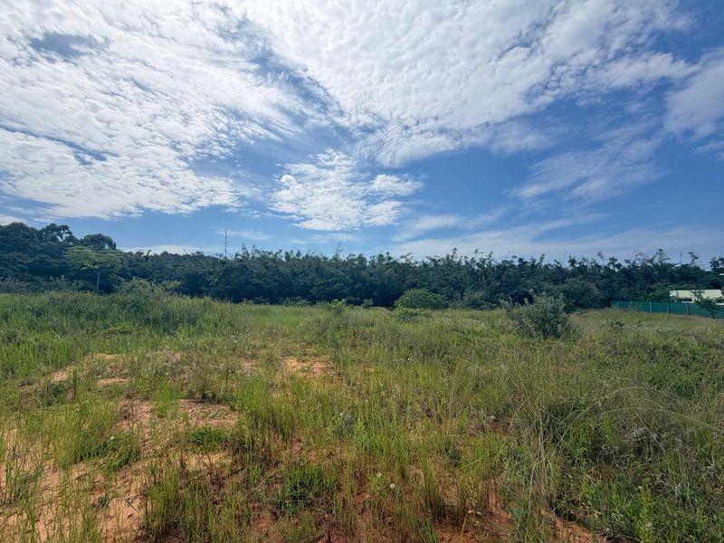 VACANT STAND – SITE 5 | 595 SQM | TYPE C | NO TRANSFER DUTIES - Photo 7