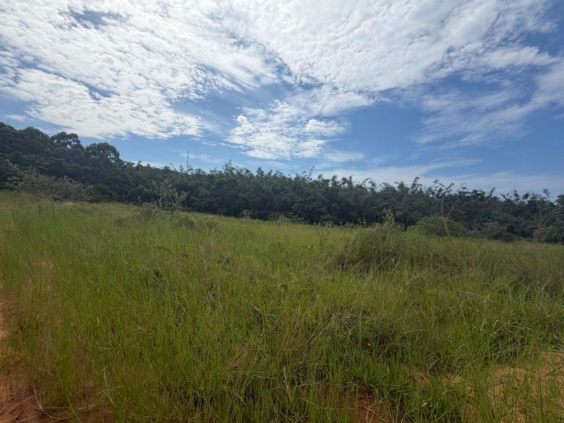 VACANT STAND – PLOT 6 | 631 SQM | TYPE C | NO TRANSFER DUTIES - Photo 7