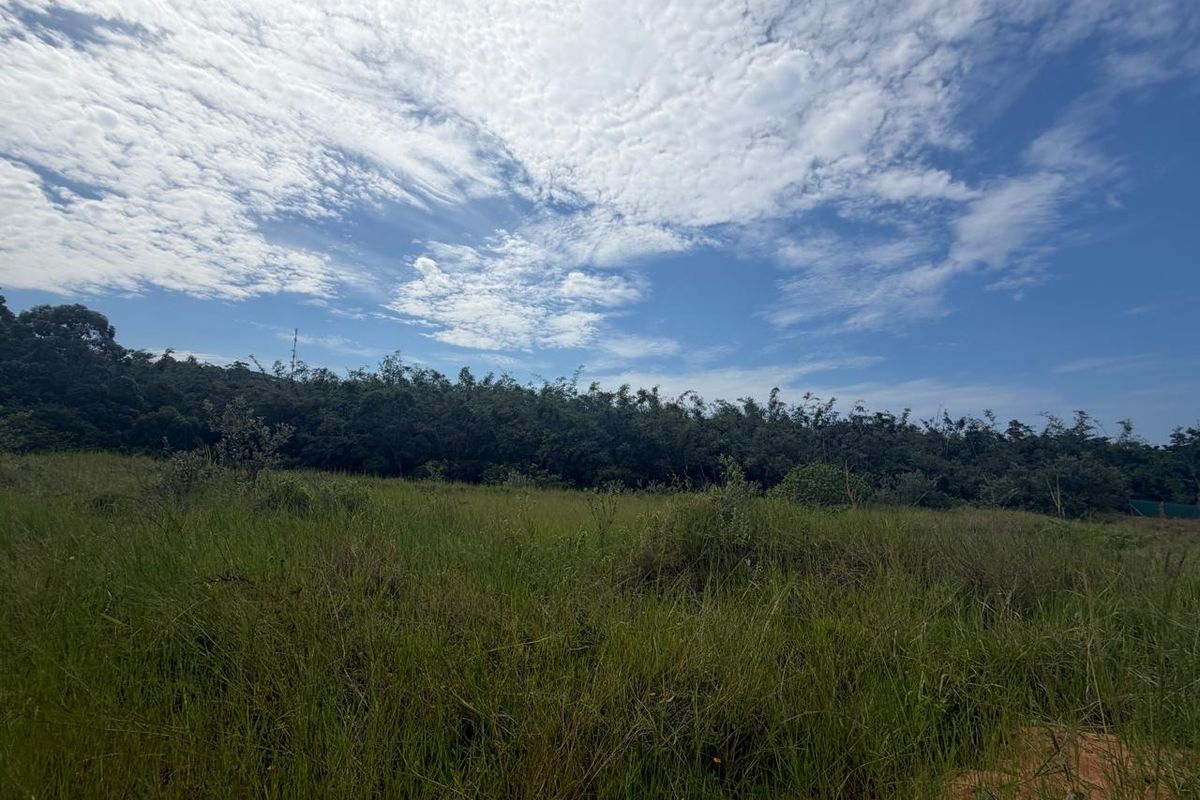 VACANT STAND – PLOT 6 | 631 SQM | TYPE C | NO TRANSFER DUTIES - Photo 4