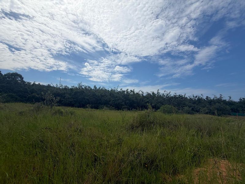 VACANT STAND – PLOT 6 | 631 SQM | TYPE C | NO TRANSFER DUTIES - Photo 4