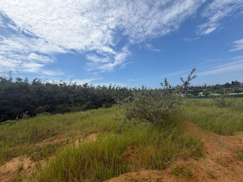 VACANT STAND – PLOT 8 | 525 SQM | TYPE C | NO TRANSFER DUTIES - Photo 7