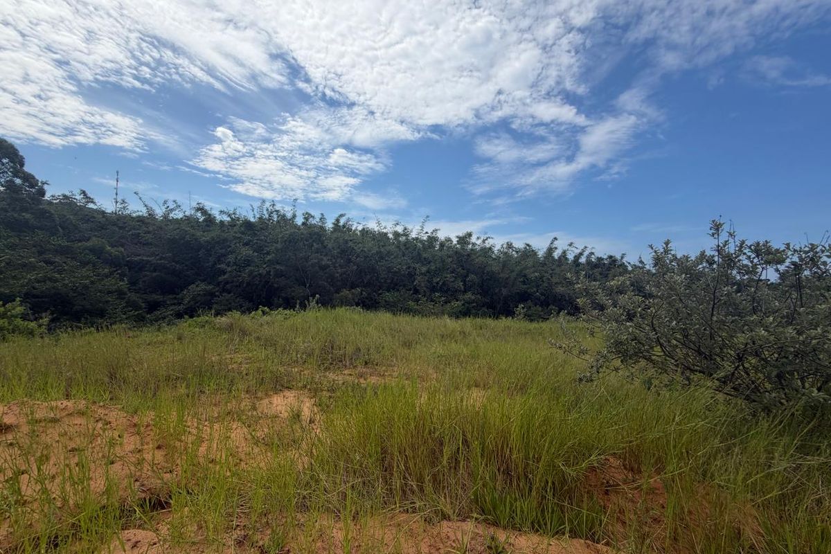 VACANT STAND – PLOT 8 | 525 SQM | TYPE C | NO TRANSFER DUTIES - Photo 4