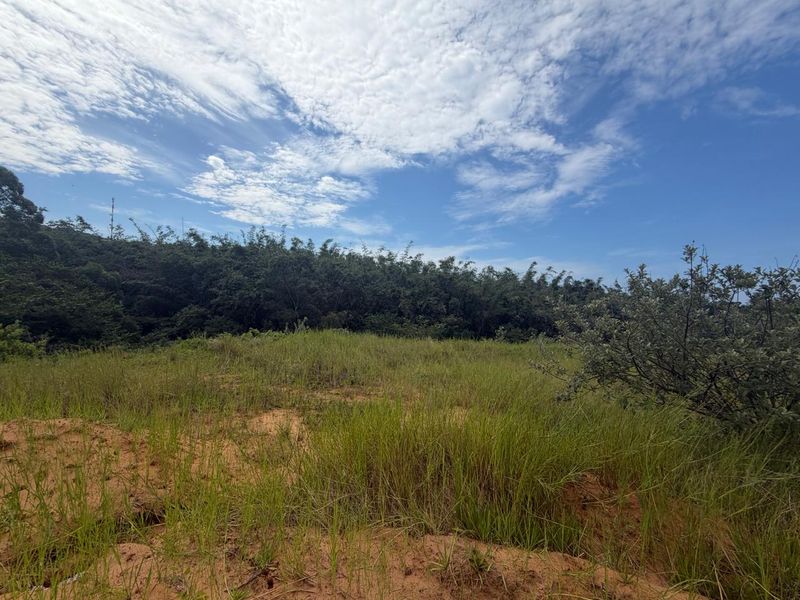 VACANT STAND – PLOT 8 | 525 SQM | TYPE C | NO TRANSFER DUTIES - Photo 4