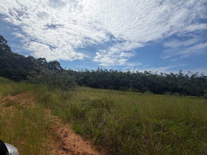 VACANT STAND – PLOT 8 | 525 SQM | TYPE C | NO TRANSFER DUTIES - Photo 10