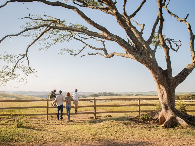 Vacant Land Residential For Sale In Ballito - Photo 10