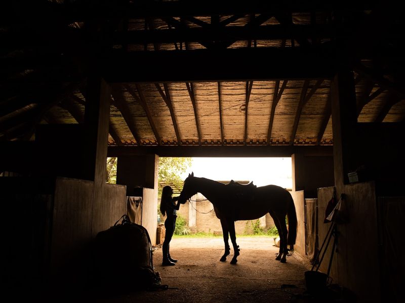 Vacant Land Residential For Sale In Ballito - Photo 10