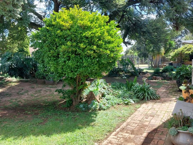 3 Bedroom House to Rent in Dal Fouche Springs - Photo 5