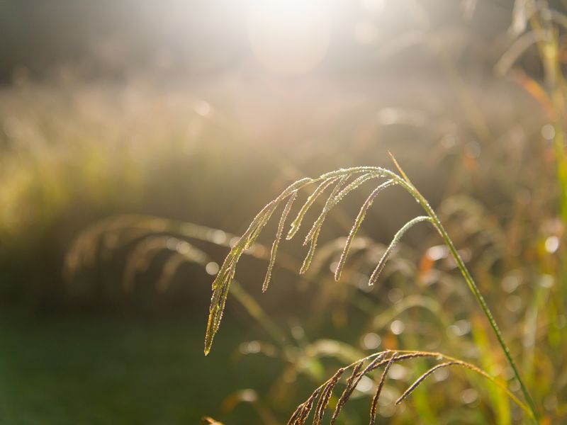 Boutique Estate Stand for Sale in Nottingham Road Midlands Adjacent to Michaelhouse - Photo 5