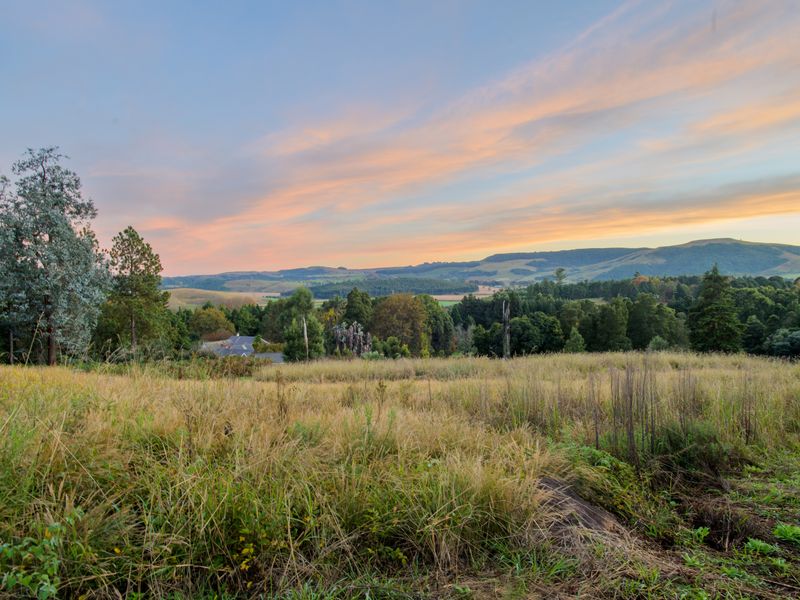 Boutique Estate Stand for Sale in Nottingham Road Midlands Adjacent to Michaelhouse - Photo 10