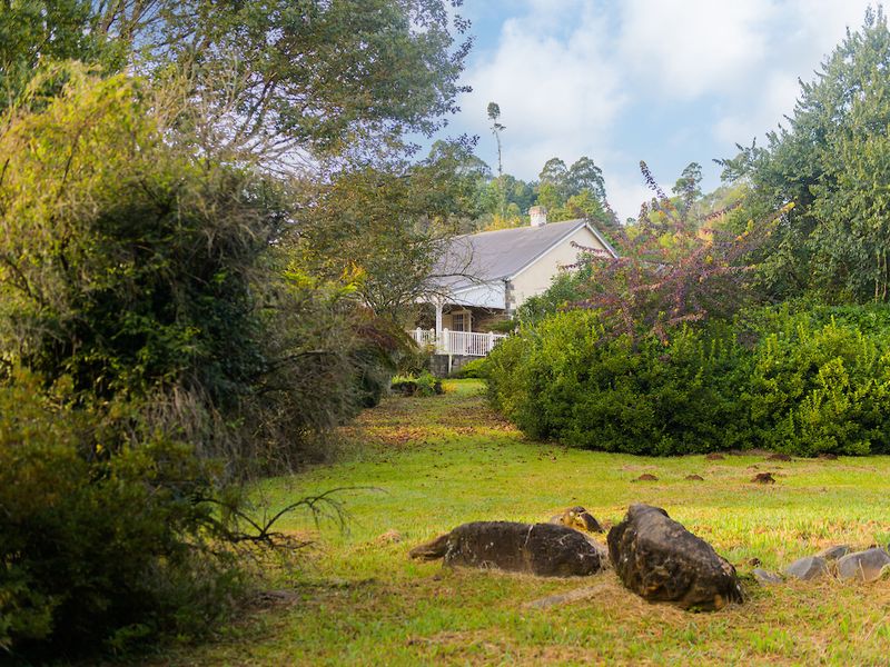 Boutique Estate Stand for Sale in Nottingham Road Midlands Adjacent to Michaelhouse - Photo 9