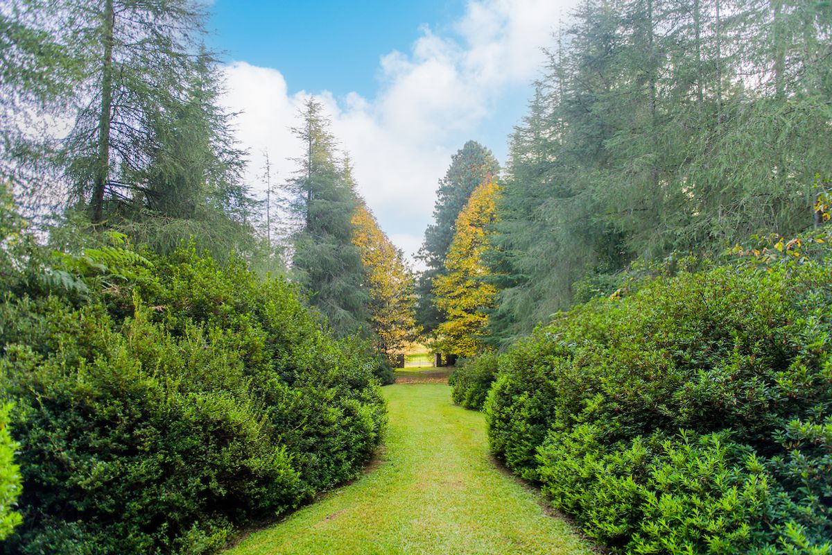 A scenic view of a well-maintained garden path lined with mature trees and lush green shrubbery on a residential property.