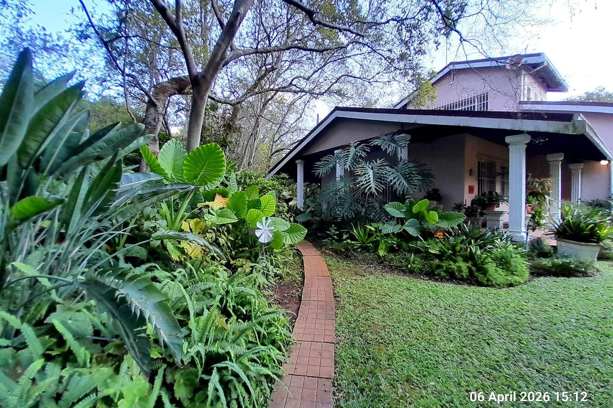 BONACCORD - Spacious house with 360m2 Workshop - Canal Water - Photo 2