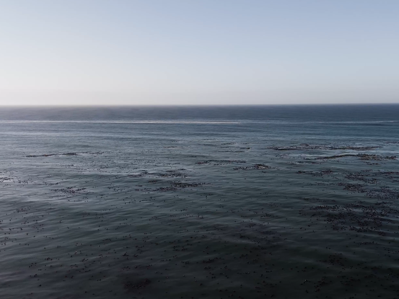 Beachfront-positioned land in Betty's Bay - Photo 6