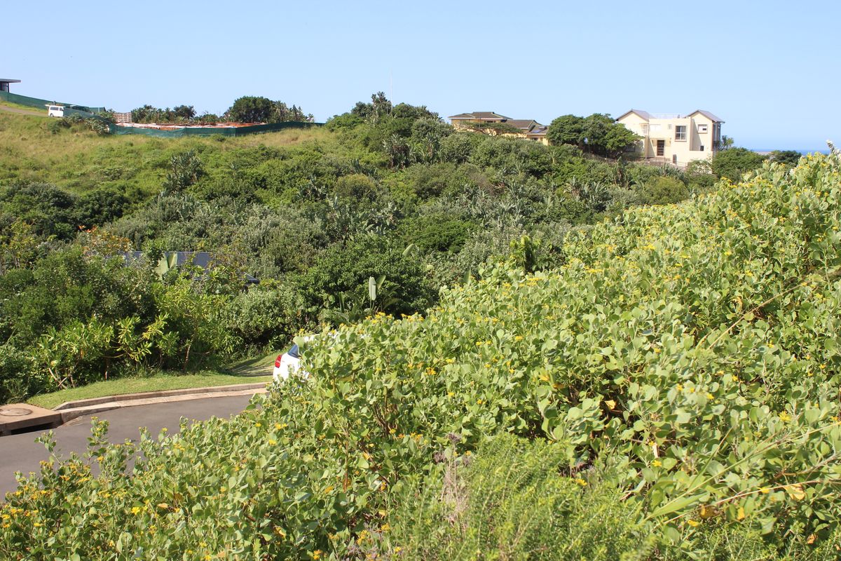 Limited Prime Stands Left - Zululami - Photo 4