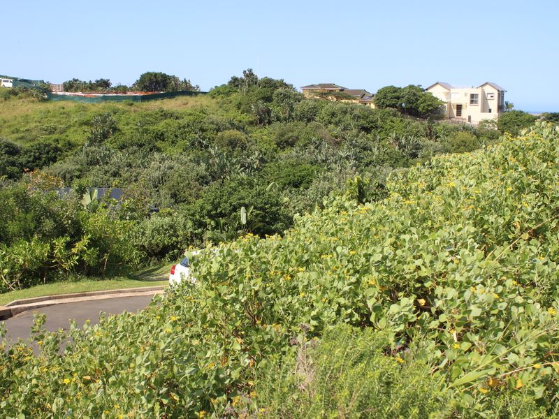 Limited Prime Stands Left - Zululami - Photo 4