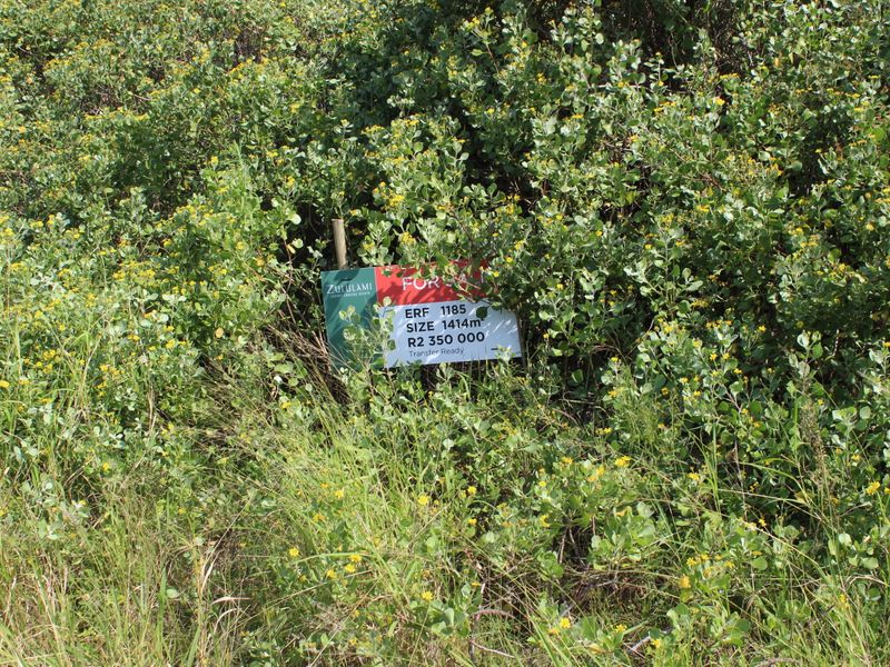 Limited Prime Stands Left - Zululami - Photo 3