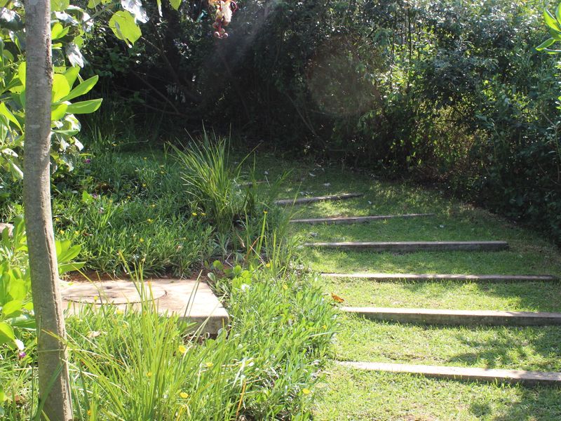 Limited Prime Stands Left - Zululami - Photo 5