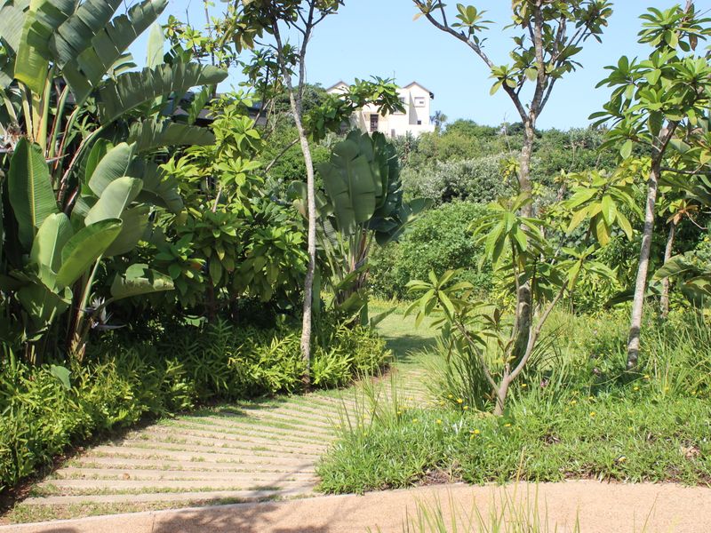 Limited Prime Stands Left - Zululami - Photo 6