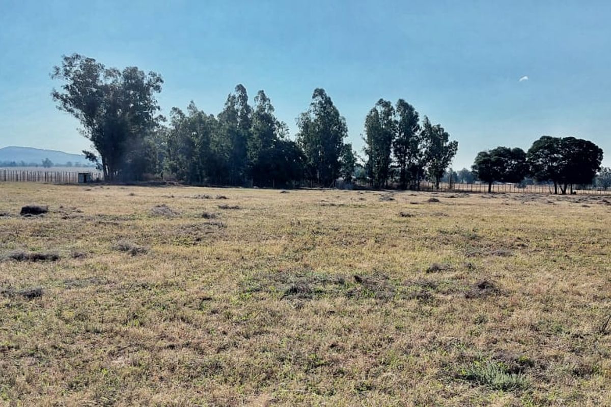 Enjoy the tranquillity of country living while still being close to town conveniences. - Photo 4