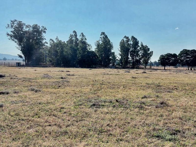 Enjoy the tranquillity of country living while still being close to town conveniences. - Photo 4