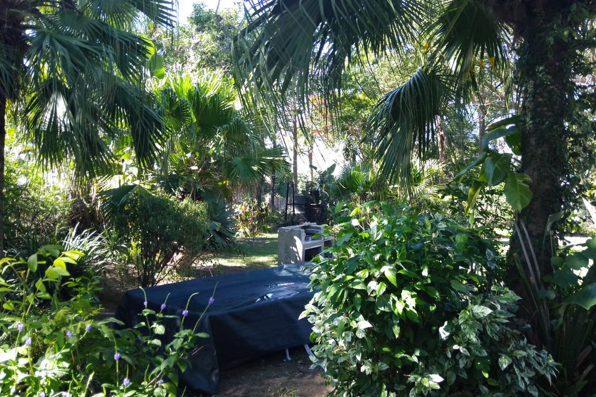 3 Bedroom For Sale in Mandeni - Photo 3