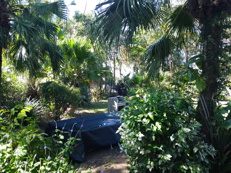 3 Bedroom For Sale in Mandeni - Photo 3