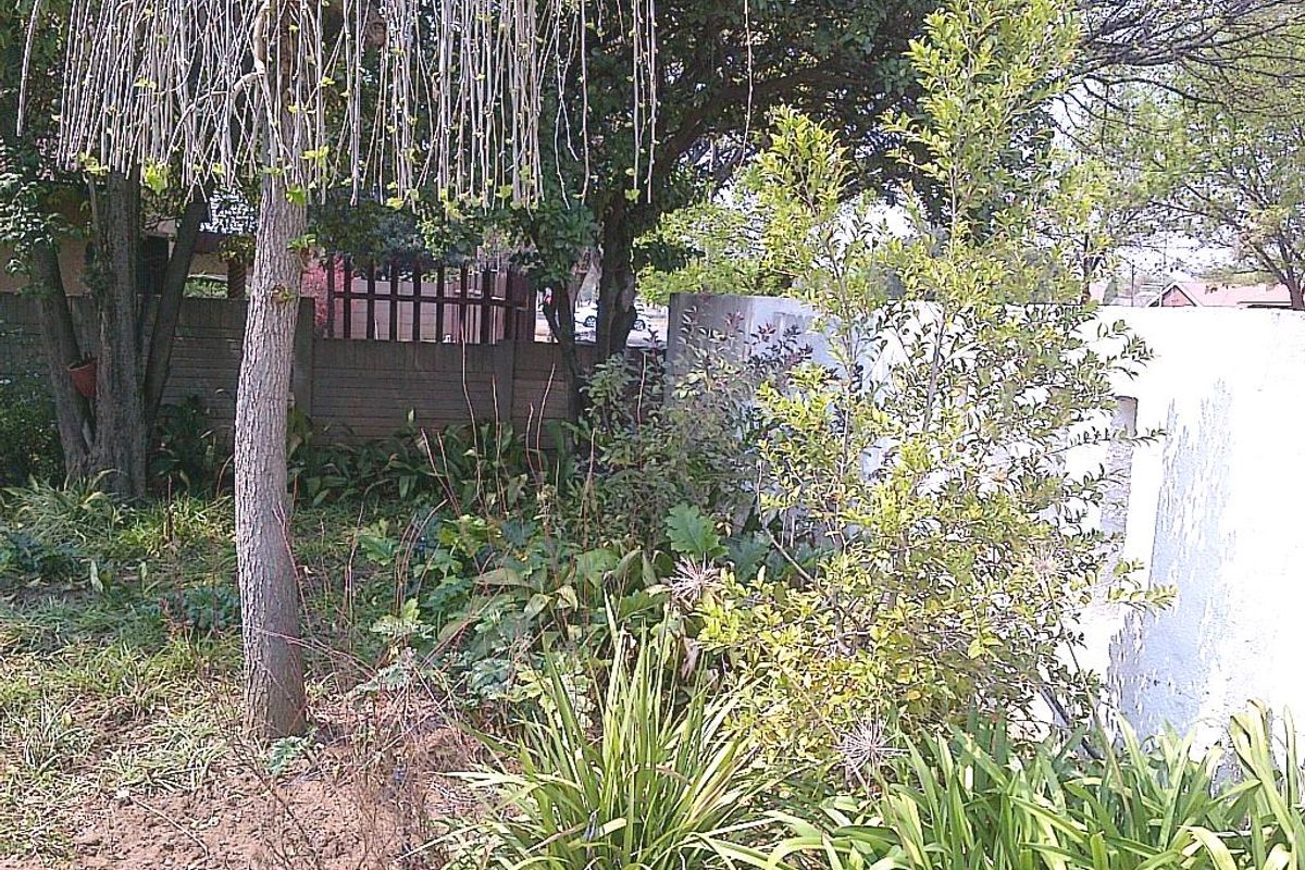 Spacious Family Home to Rent in Vaalpark! - Photo 2