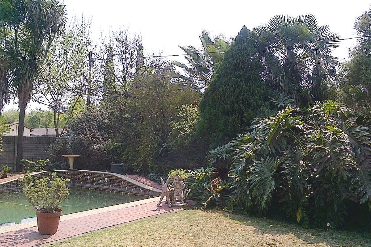 Spacious Family Home to Rent in Vaalpark! - Photo 5