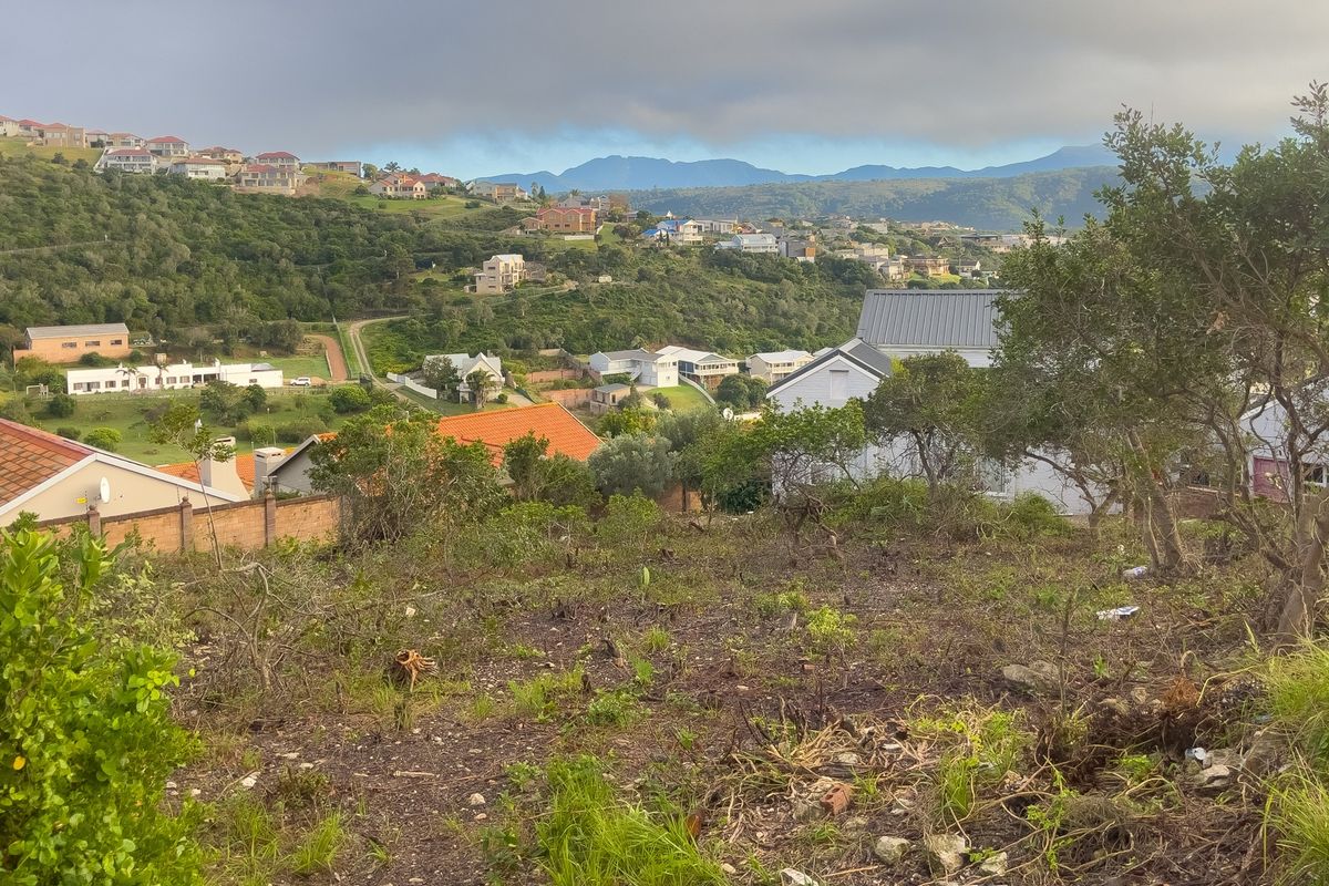 Prime vacant stand with magnificent views – and a whole lot of potential! - Photo 3