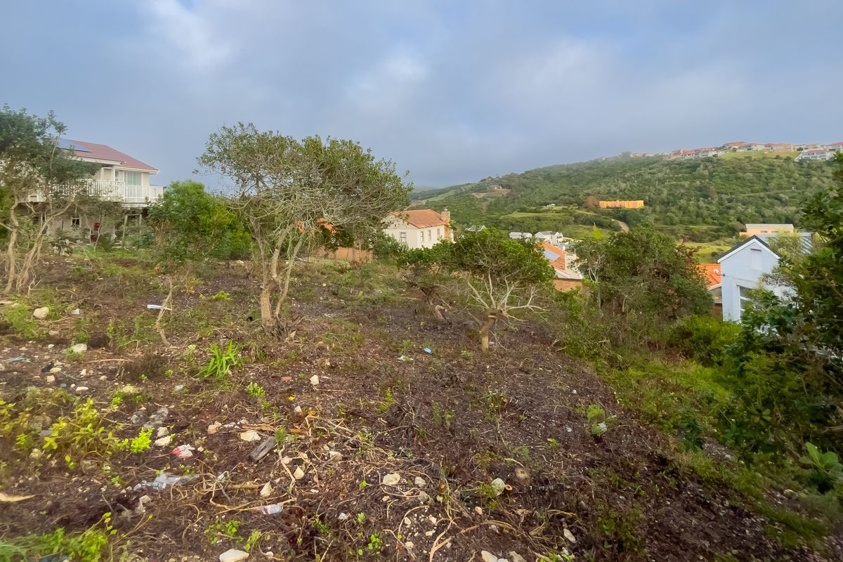 Prime vacant stand with magnificent views – and a whole lot of potential! - Photo 2