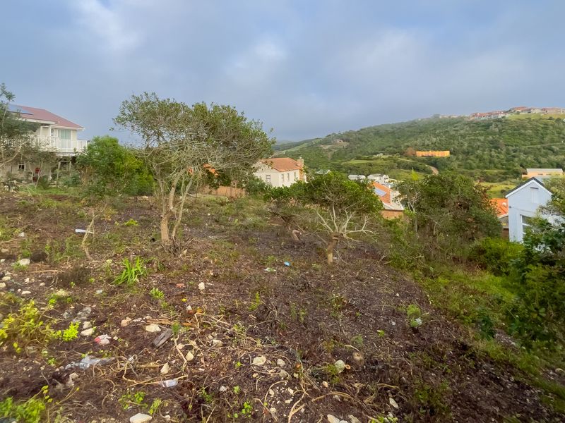 Prime vacant stand with magnificent views – and a whole lot of potential! - Photo 2