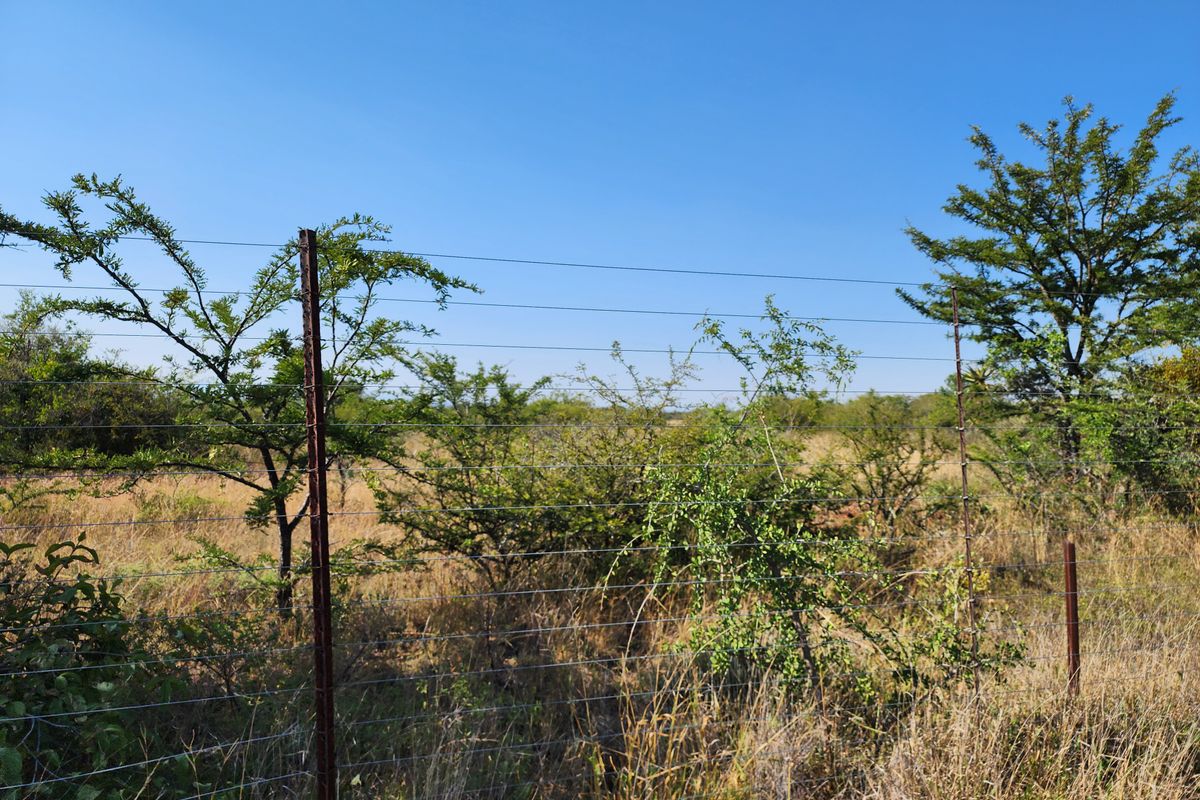 8.5ha Agricultural Plots for Sale | Prime Location Along R71 | 62 Plots Available - Photo 4
